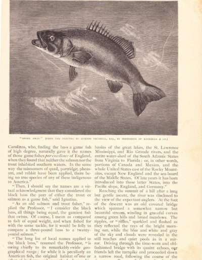 James Henshall 1883 Black Bass Article page 2