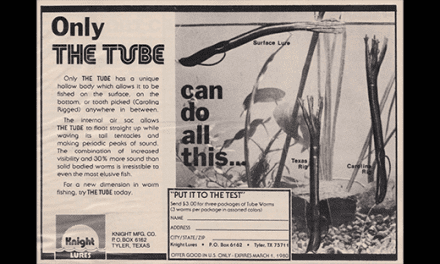 The Tube Worm