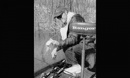 Segraves and the Spider Jig