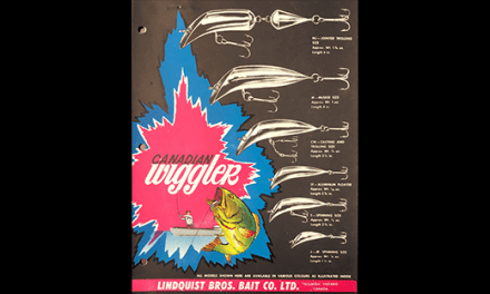 Canadian Wiggler, Since 1945