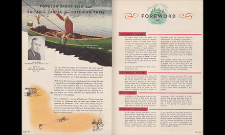 Heddon 1950 – Part 3