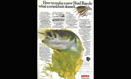 40 Years of the Shad Rap