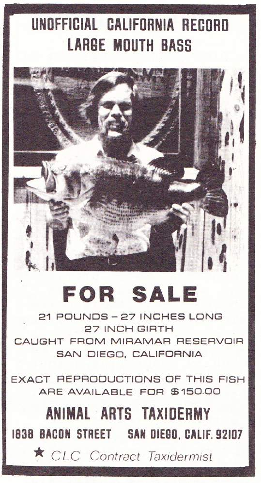 CLC July 1974 Miramar Taxidermist Ad This ad confuses me in that I do not recall this fish ever being caught. The only thing I can think of is it was a fish reportedly caught by Phil Jay, of American Bass Fisherman fame, that he tried pawning off as the new world record.