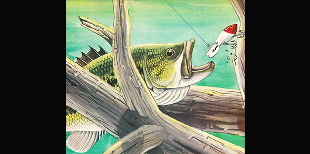 Wiley Miller – Artist Extraordinaire