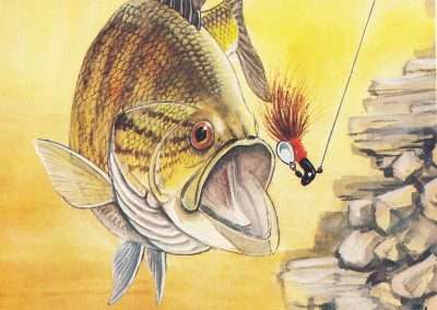 Wiley Miller Smallmouth Eating a Road Runner