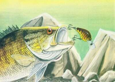 Wiley Miller Smallmouth Eating a Bagley's DBII