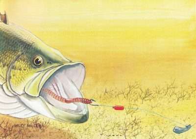 Wiley Miller Largemouth Eating a Nightcrawler on a Lindy Rig
