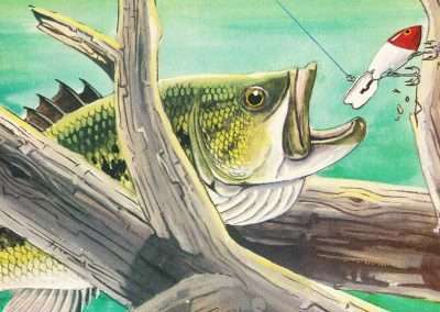 Wiley Miller Largemouth Eating a Bomber