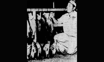 Sports Shows 1970