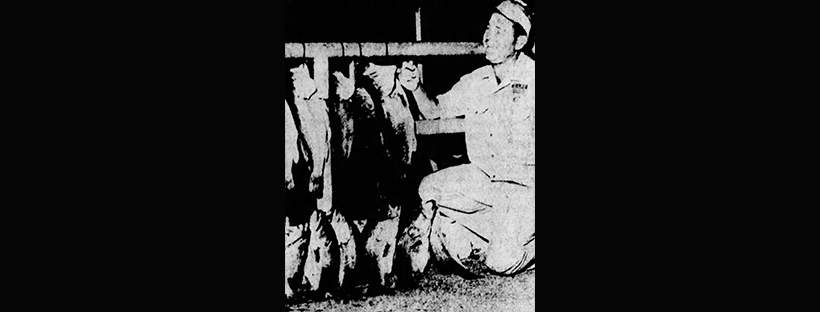 Sports Shows 1970