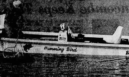 Honeycutt’s Hummingbird Ranger