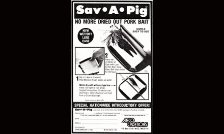 Save A Pig