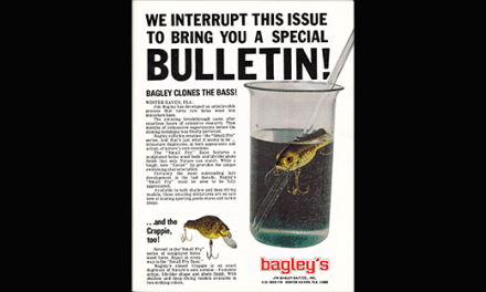 Bagley’s Small Fry 1979