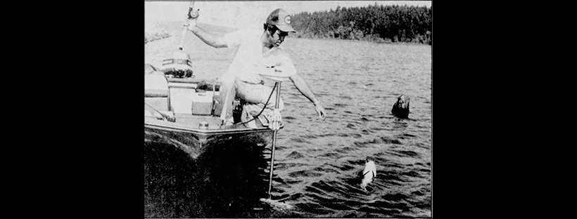 Pelletier and Fagerstrom 1990