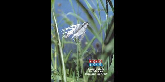 Rebel 1983