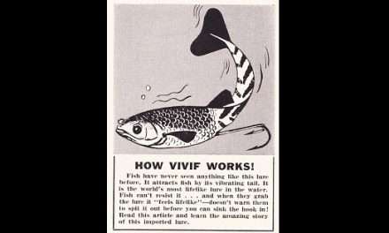 Vivif 1960