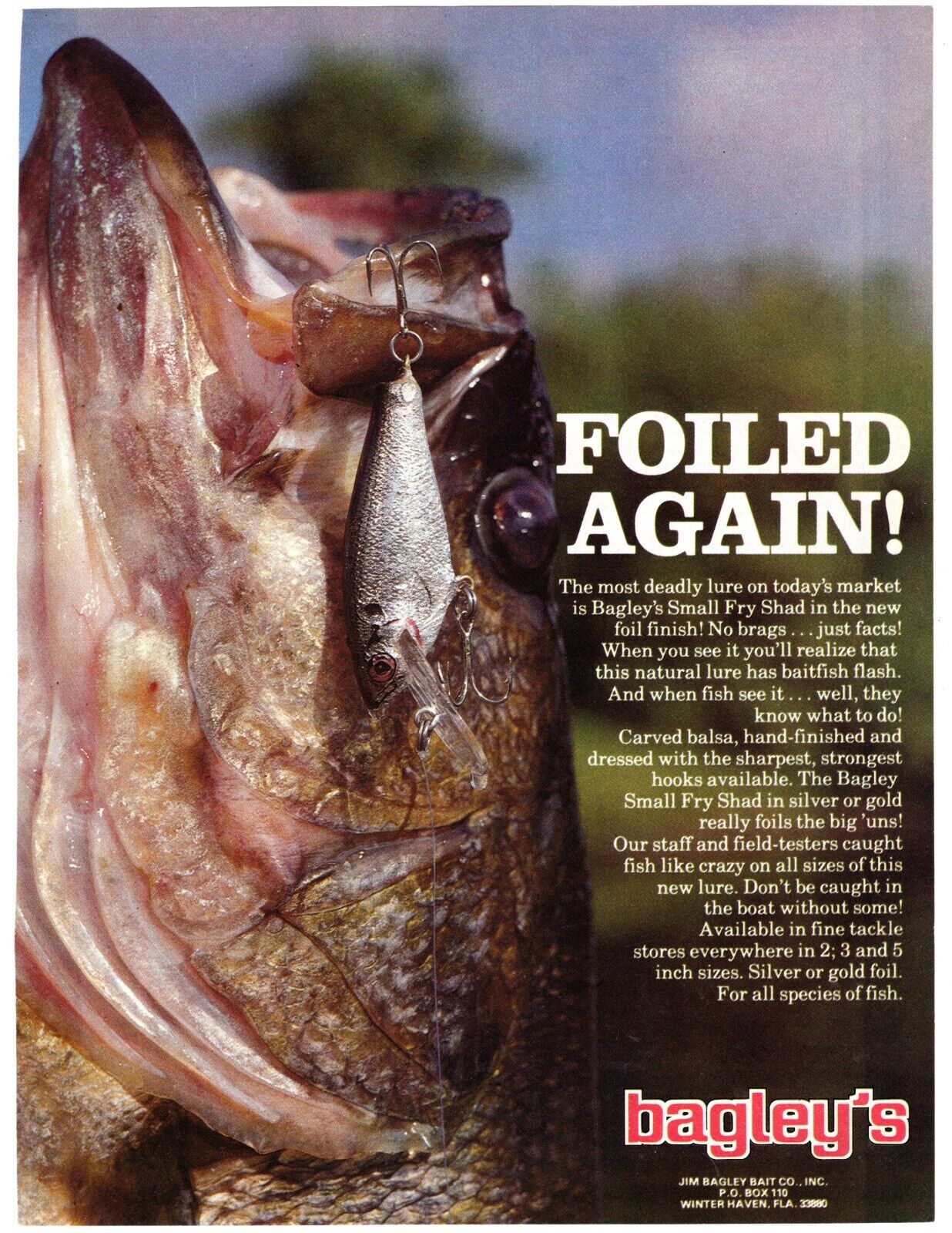 Bagley's Small Fry Shad 1980 Bagley's Small Fry Shad. Bassmaster Magazine 1980.