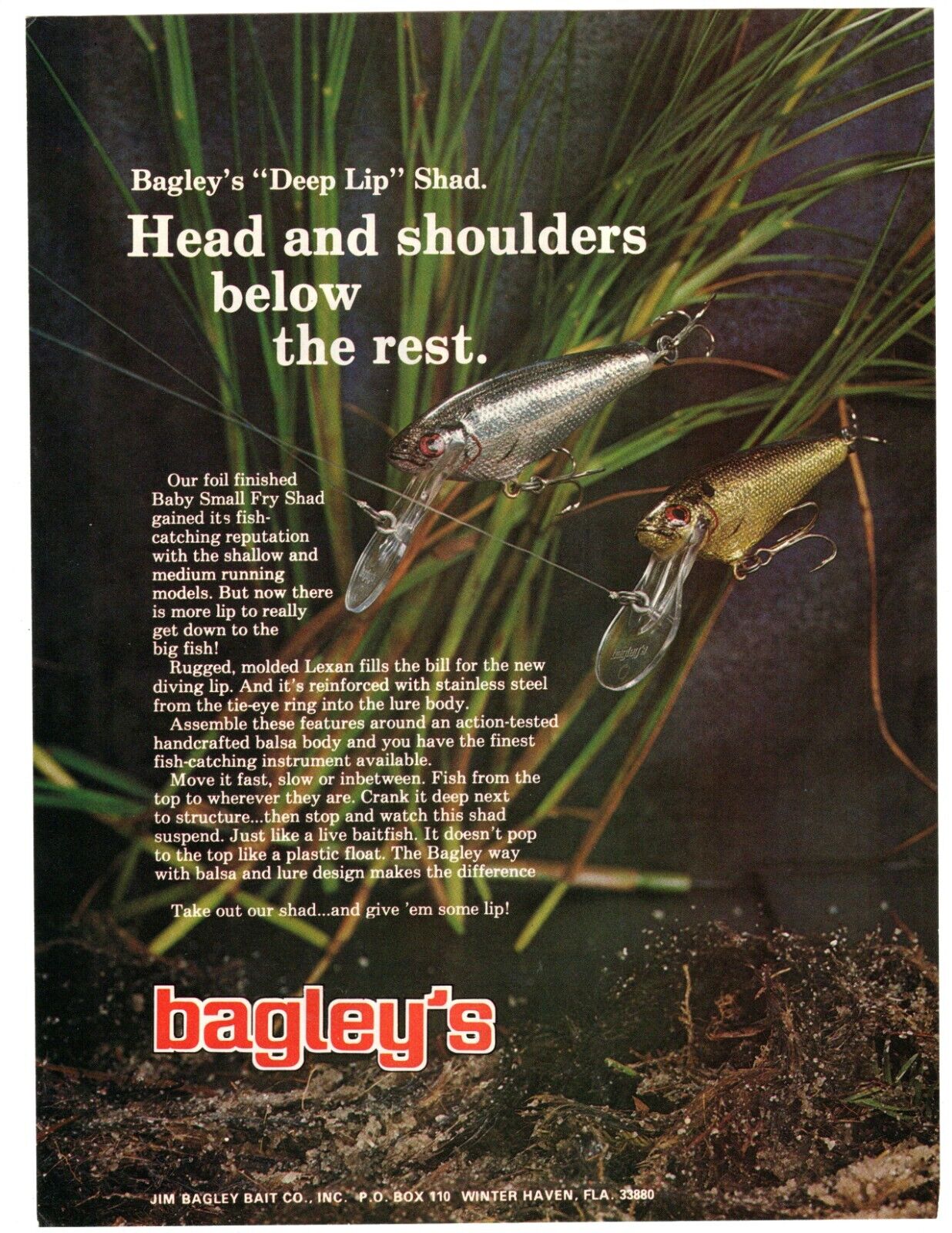 Bagley's Deep Lip Shad 1981 Bagley's Deep Lip Small Fry Shad. Bassmaster Magazine 1981.
