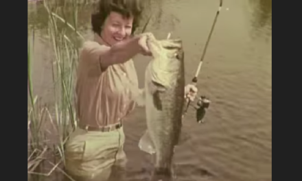 Outstanding Vintage Fishing Videos