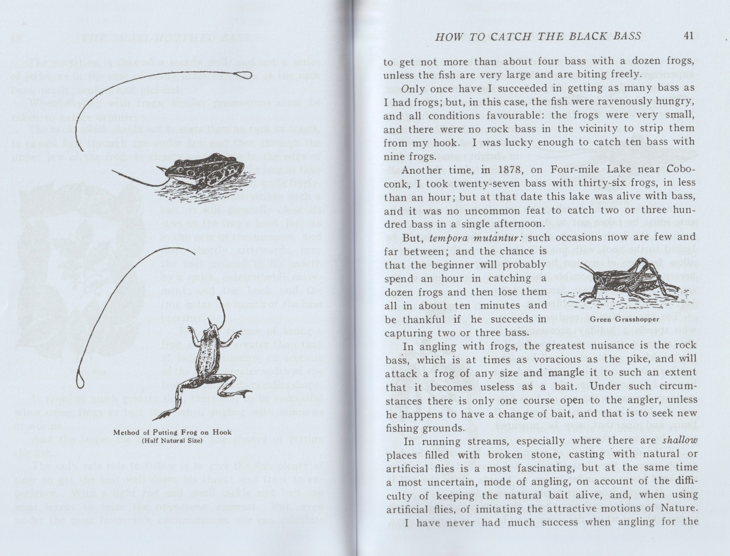 The Small-Mouthed Bass, by W.J. Loudon, 1910. pp.40-41