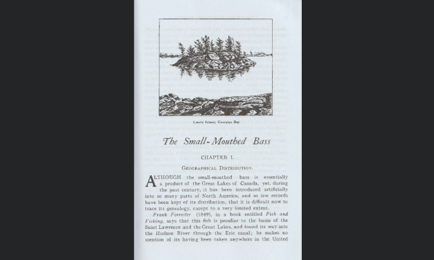 The Small-Mouthed Bass by W.J. Loudon