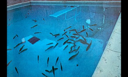 Early Live Release