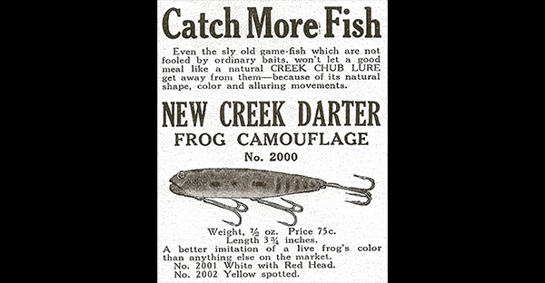 CCBC’s “New Creek Darter”