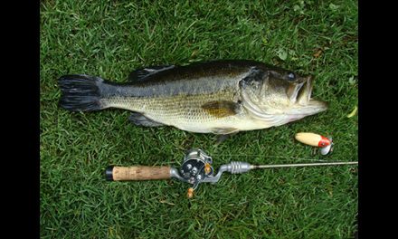 My Favorite Red & White Lure of All Time