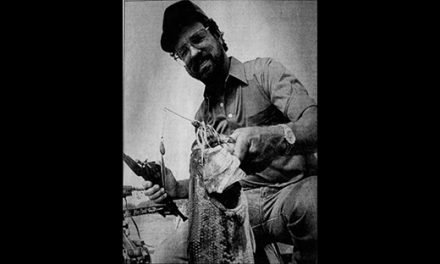 Professor Cook 1994