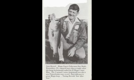 Mepps Bass Brochure