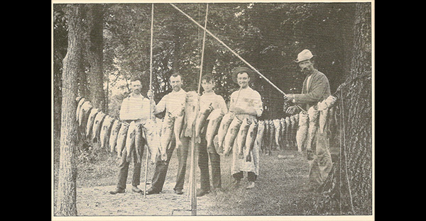 “Spatting” for Bass