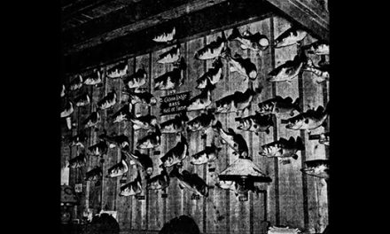 Calusa’s Big Bass Wall