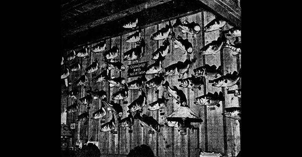 Calusa’s Big Bass Wall