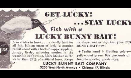 More Darwin Baits 1950s