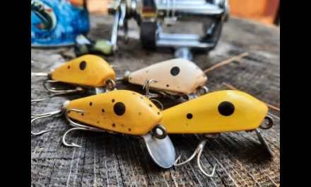 My Favorite Red & White Lure of All Time - Bass Fishing Archives Sunday  Sonnett