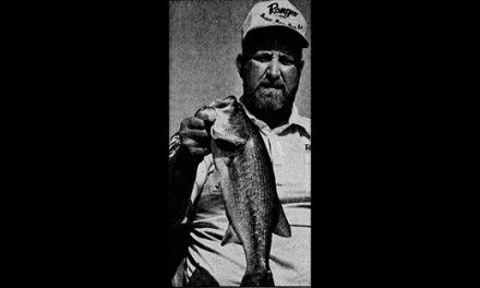 Bassmaster Dusty Pine