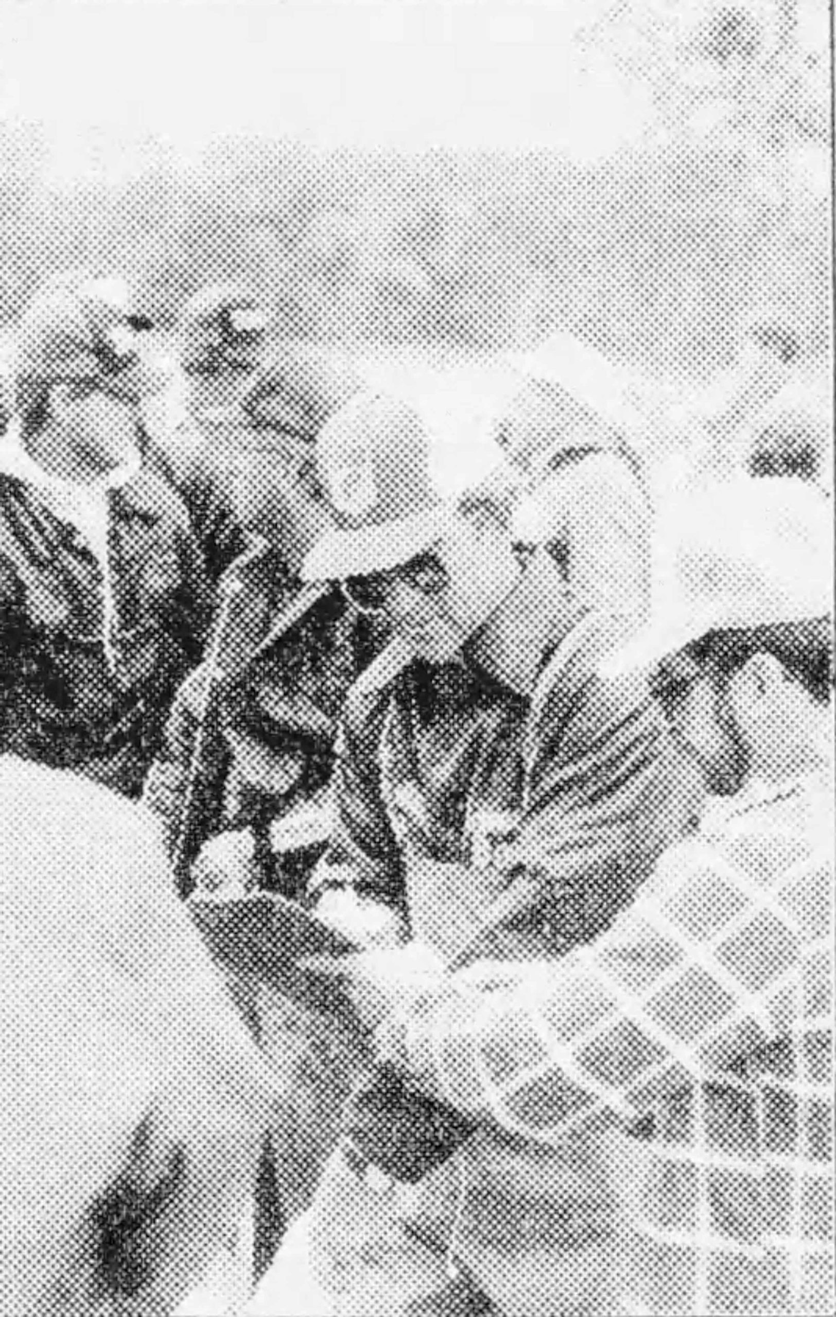 Dick Garlock’s Contributions - Bass Fishing Archives Friday Finale