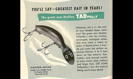 An Older Bait Gets a New Life – and Then Another
