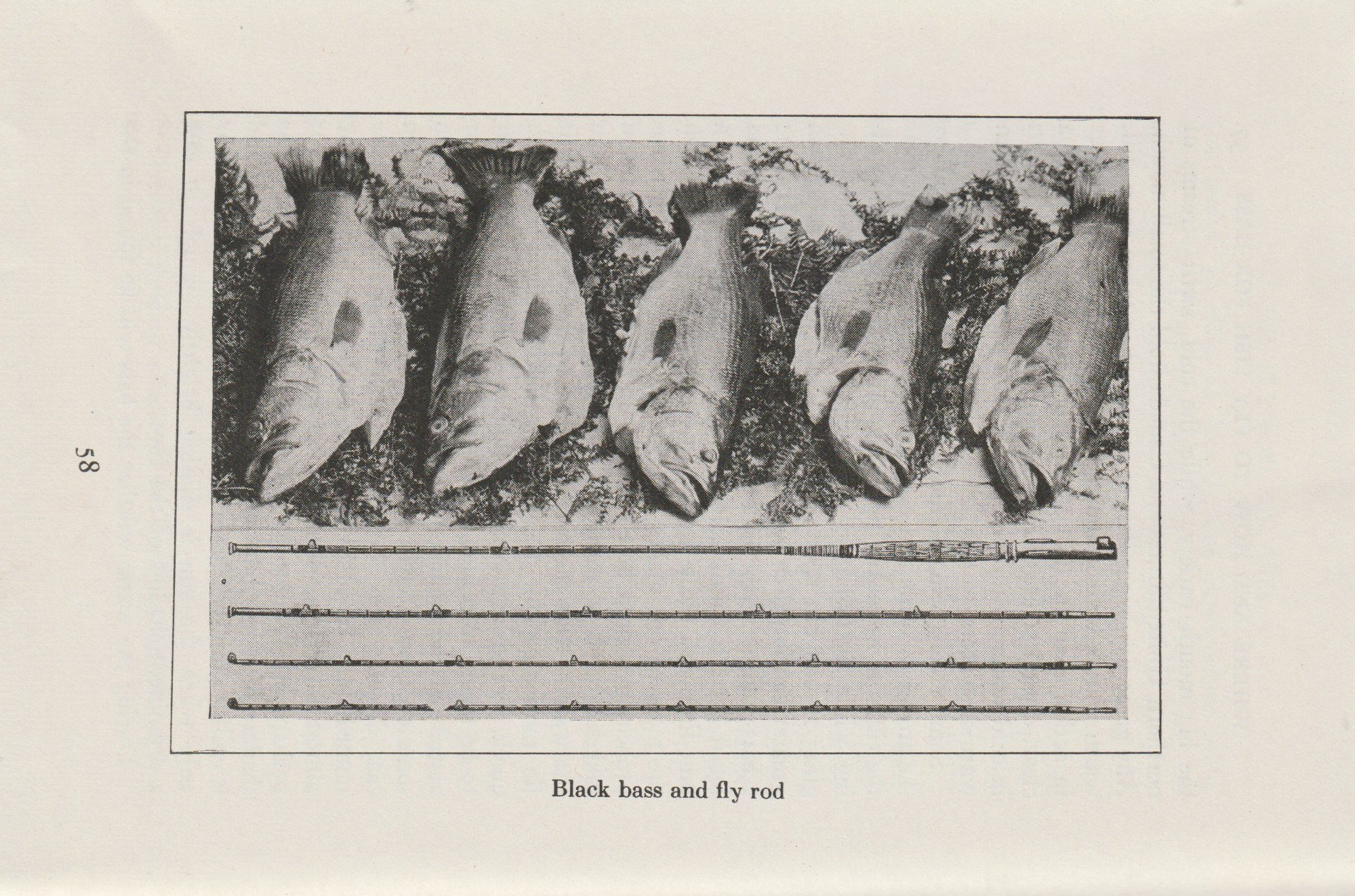 The Fly-Rod for Bass, p.58.