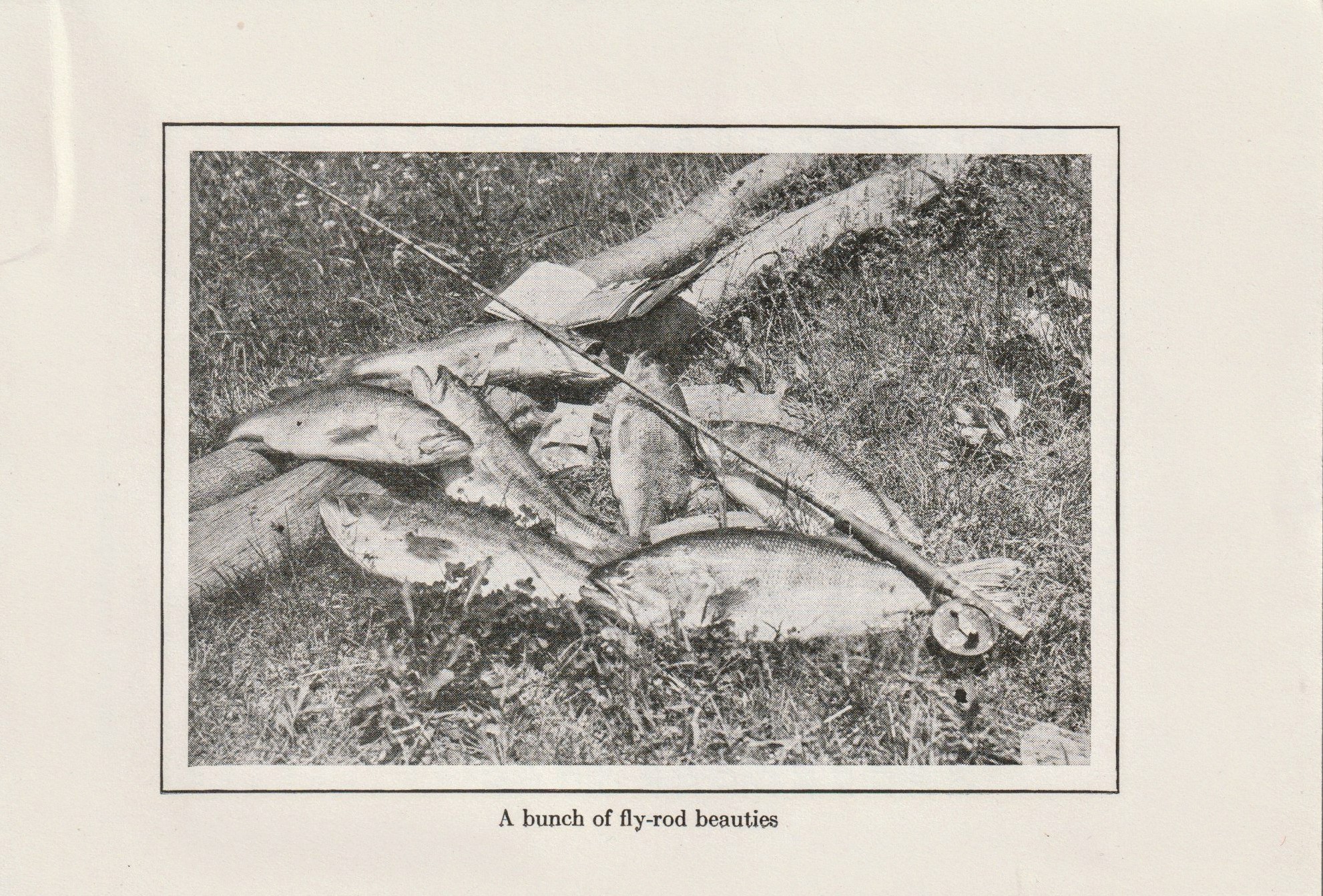 The Fly-Rod for Bass, chapter 1.