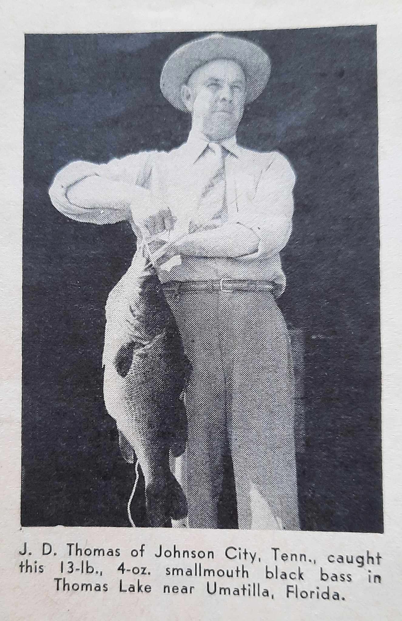 Image from "Those Eccentric Bass" by Cal Johnson, Sports Afield Fishing Annual, 1943. I'm somewhat doubtful that this big bass is a smallmouth!