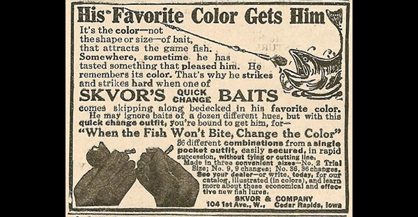 Can Fish See Colors