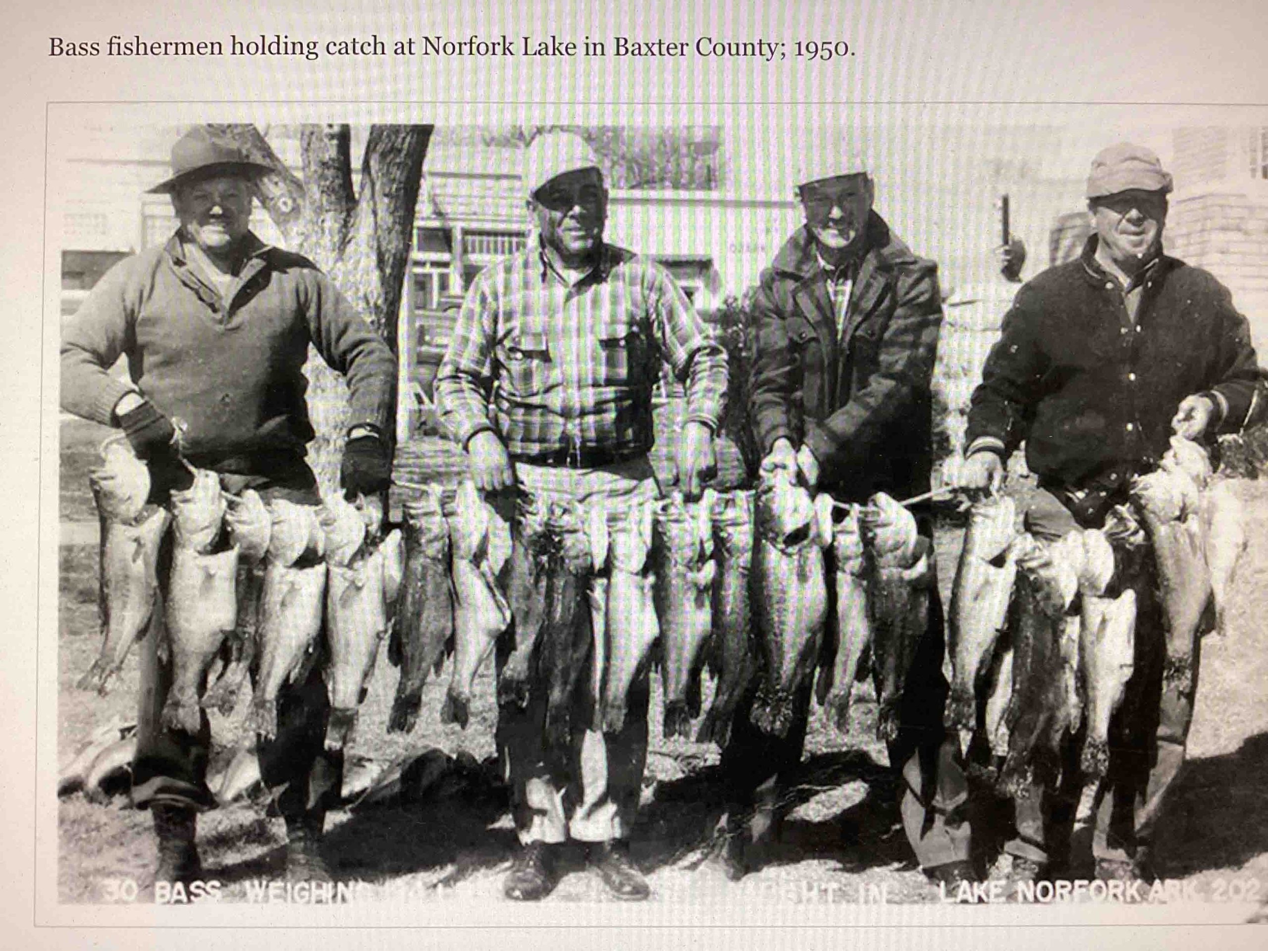 Photo _2 Four bass anglers holding 30 bass weighing a total of 194 pounds caught from Norfork Lake in 1950. That is an average of 6.42 pounds apiece.