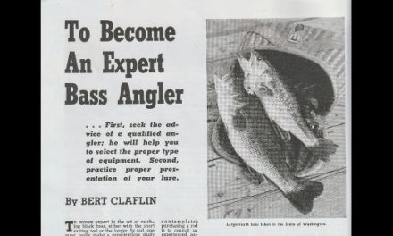 Become an Expert Bass Angler