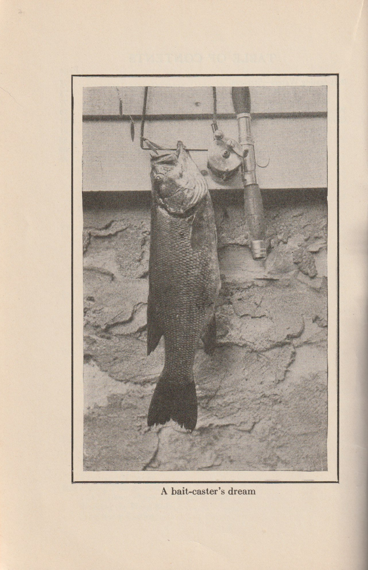 Bait Casting, by Sheridan R. Jones. A bait-caster's dream.