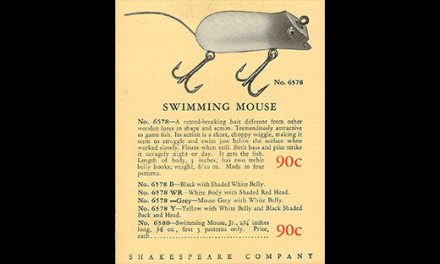 The Shakespeare Swimming Mouse Part 1