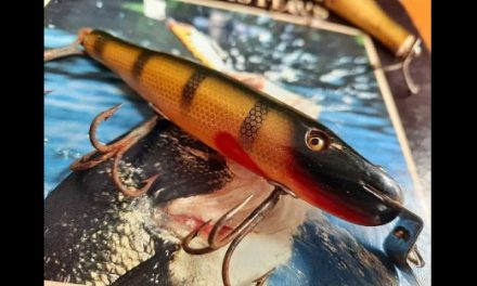 Contest Winning Pikie Minnow