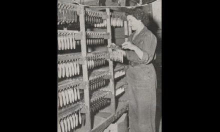 Inside the Paw Paw Bait Company