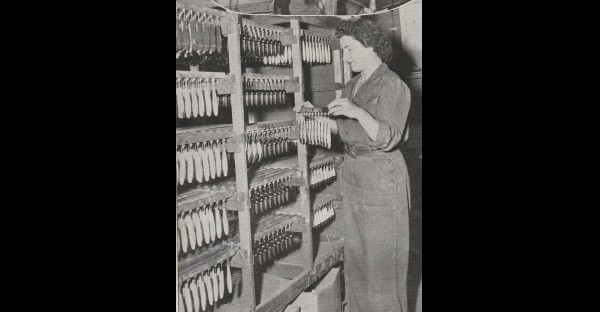 Inside the Paw Paw Bait Company