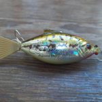 Chuck Woolery Moto Minnow
